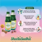 Summer Essentials Pack - SheetaSudha