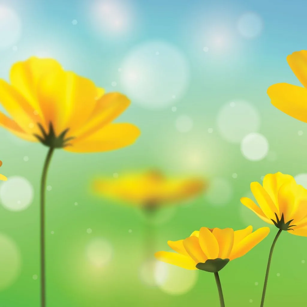 Vasant Rhutu - Spring - SDL India