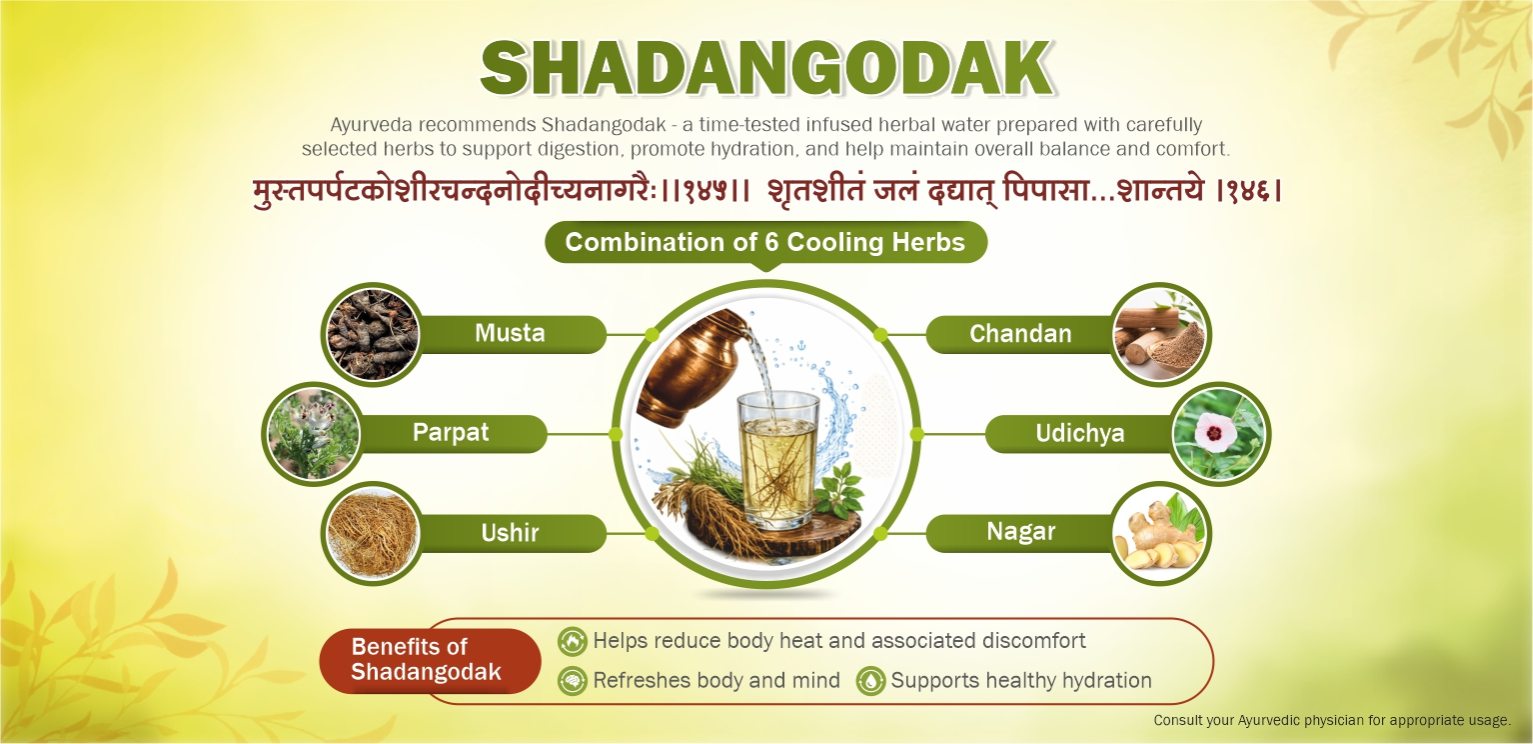 Web Banners - Shadangodak